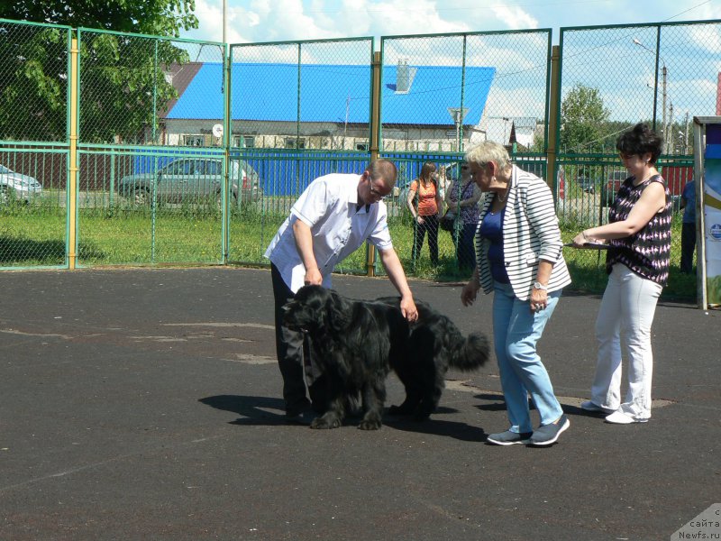 Фотография № 226022