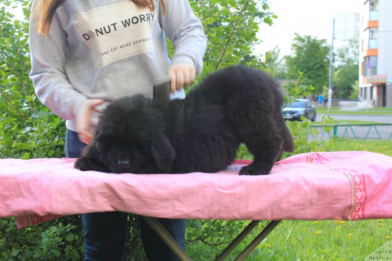 Фотография № 226043