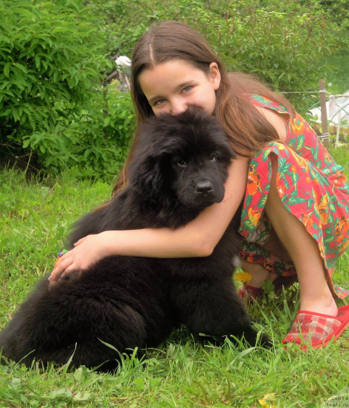 Фотография № 226047