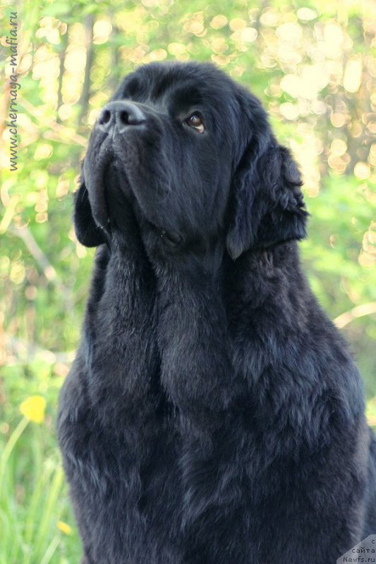 Фотография № 226048