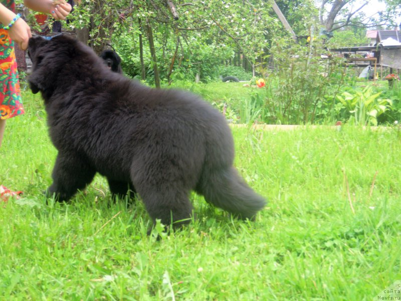 Фотография № 226051