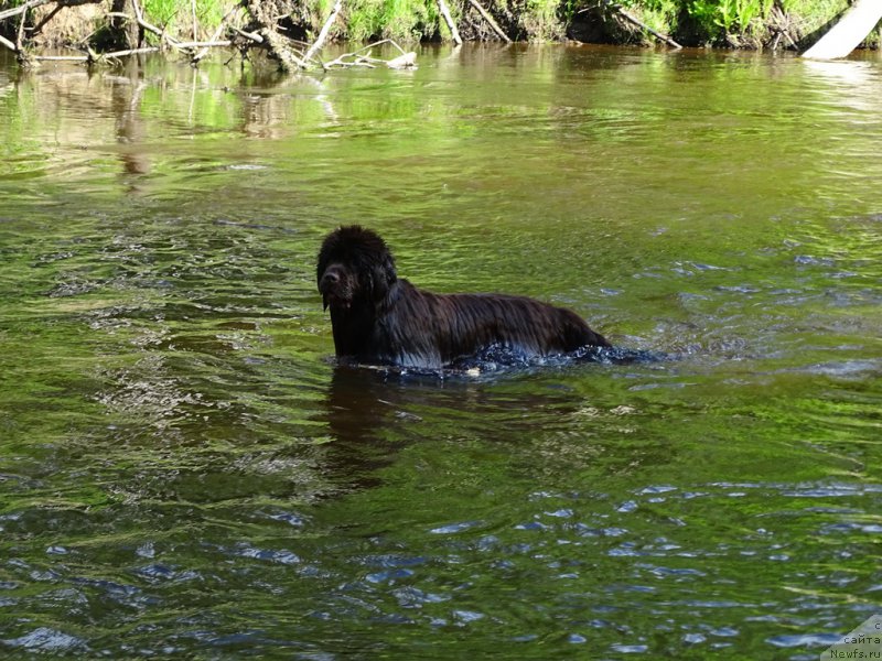 Фотография № 226058