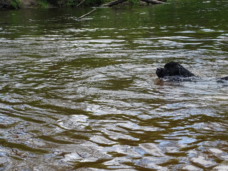 Фотография № 226060