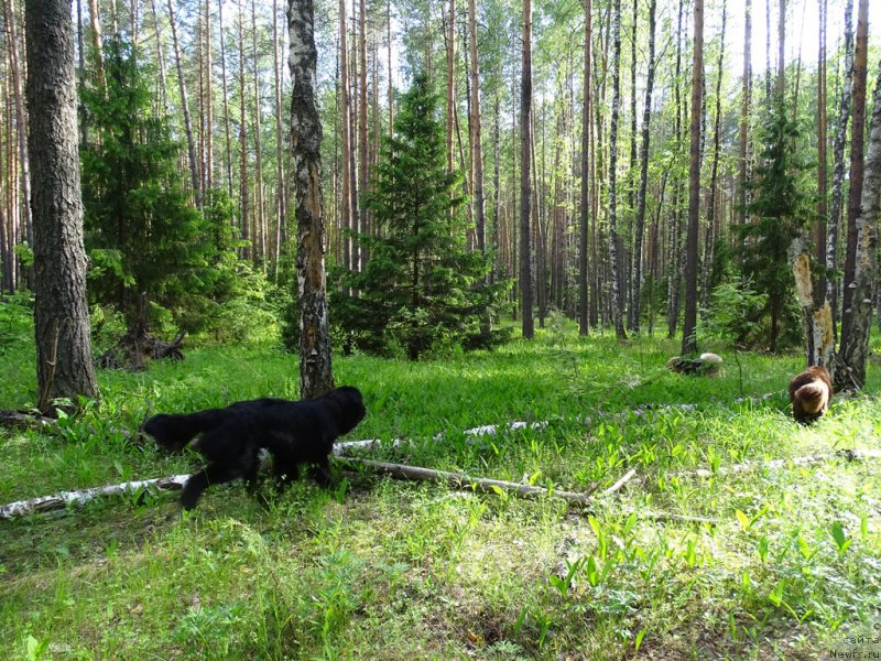 Фотография № 226061