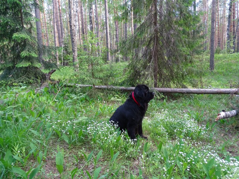 Фотография № 226062