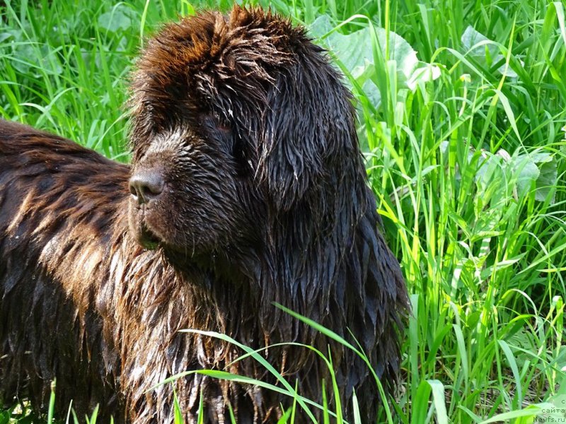 Фотография № 226063