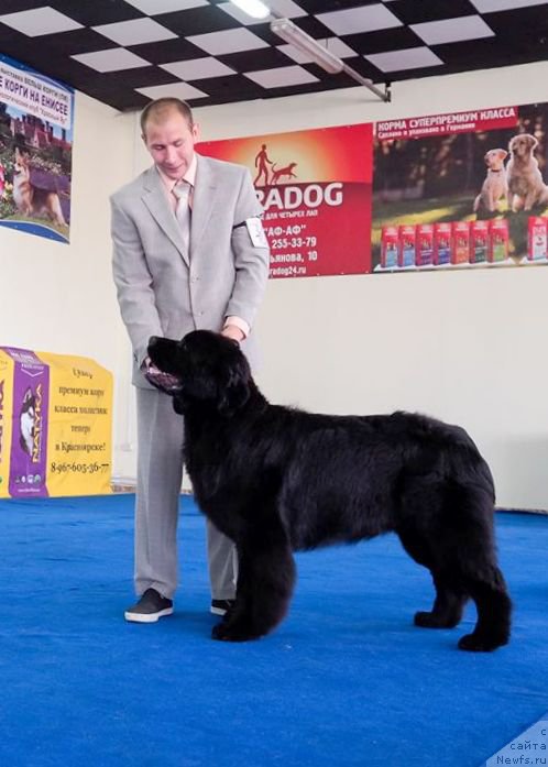 Фотография № 226066