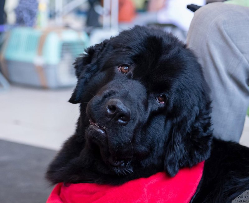 Фотография № 226068