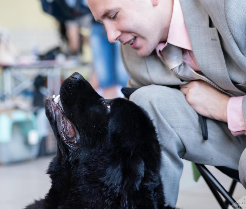 Фотография № 226069