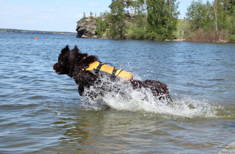 Фотография № 226070