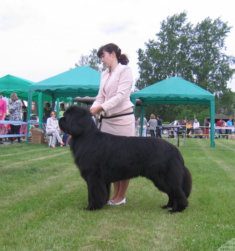 Фотография № 226076