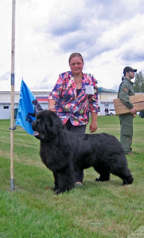 Фотография № 226080