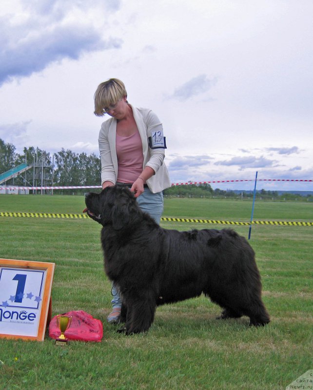 Фотография № 226090