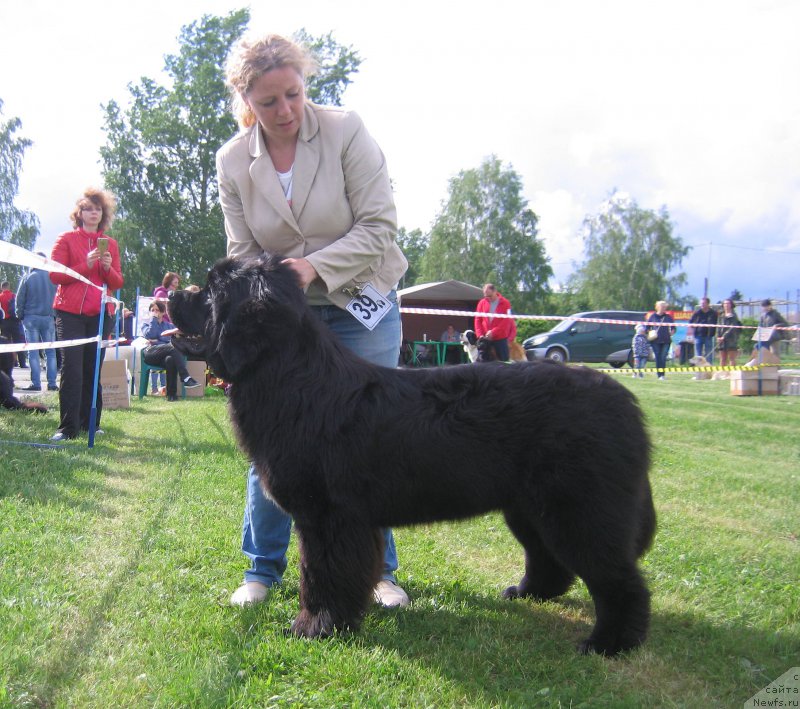 Фотография № 226095