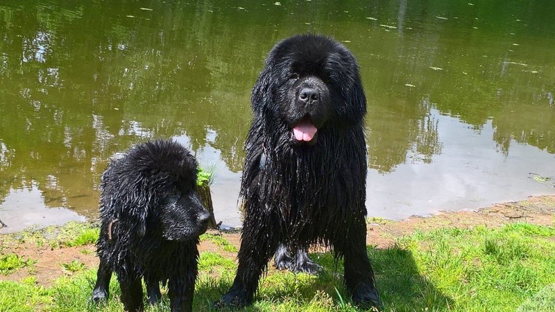 Фотография № 226097