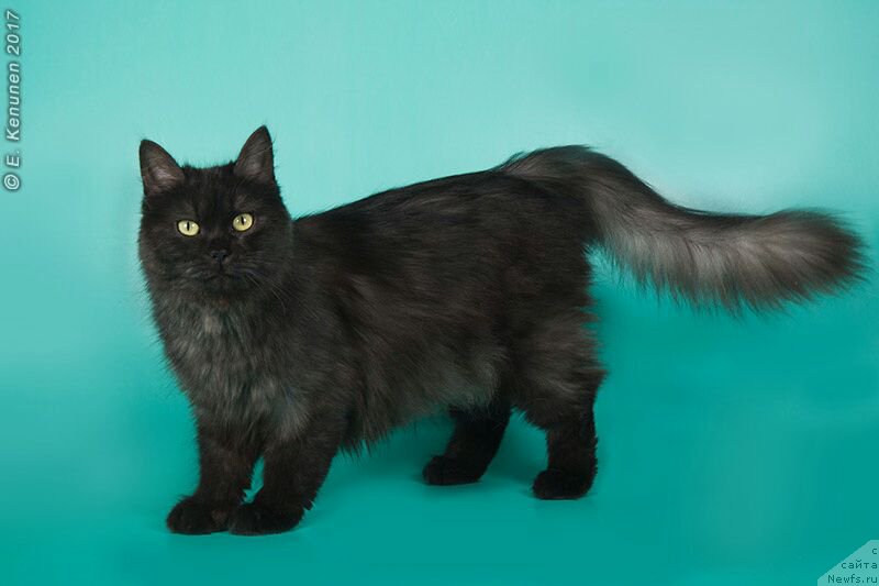 Фотография № 226102