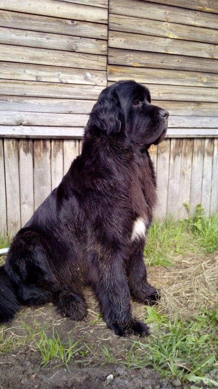 Фотография № 226103