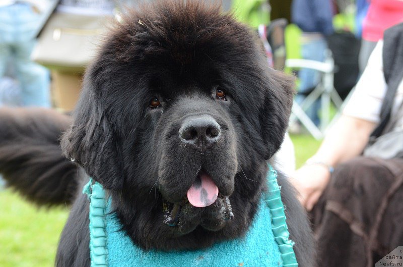 Фотография № 226108