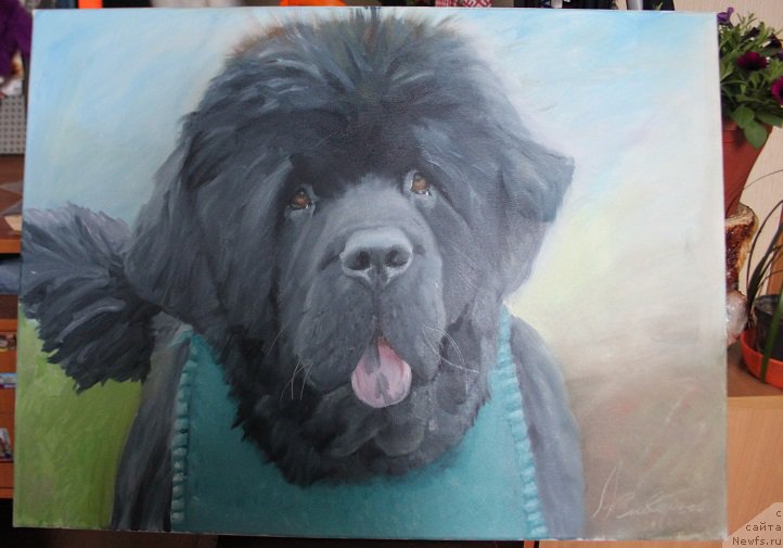 Фотография № 226109