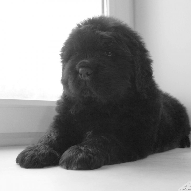 Фото: Кипер Соул Уилл Смит