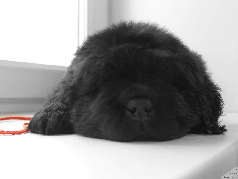 Фото: Кипер Соул Уилл Смит