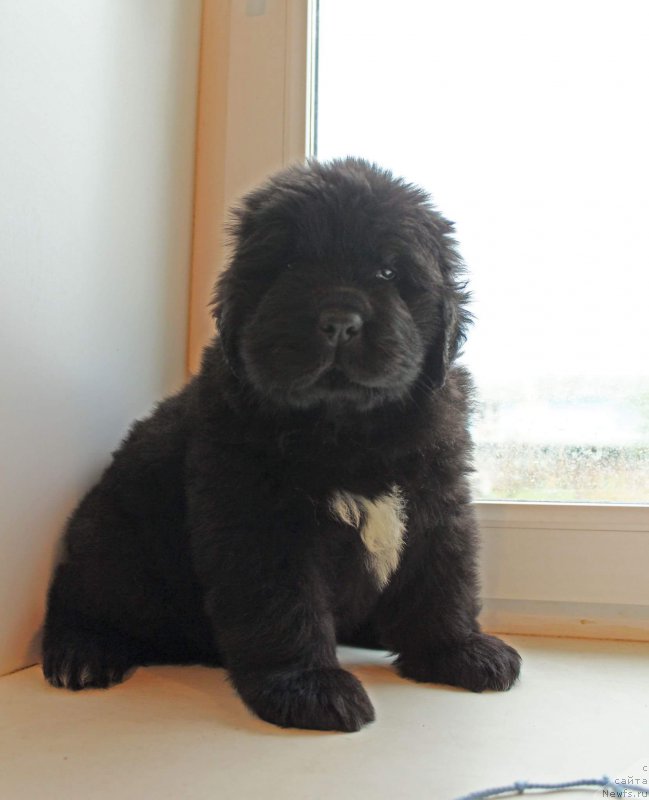 Фотография № 226138