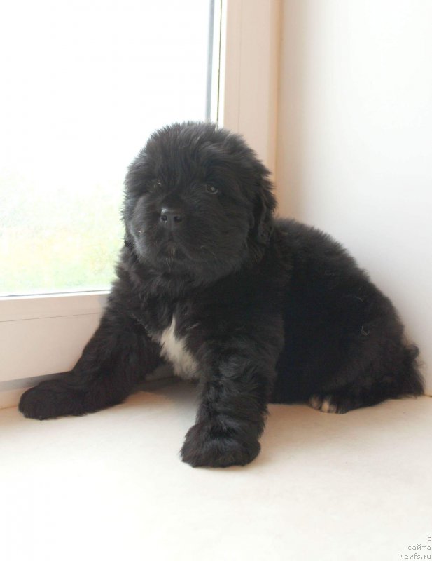 Фото: Кипер Соул Уитни Хьюстон