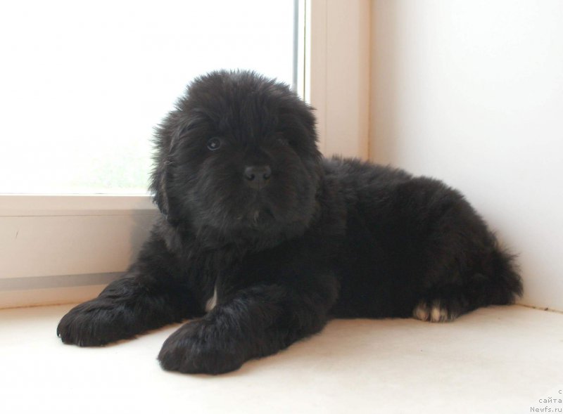 Фото: Кипер Соул Уитни Хьюстон