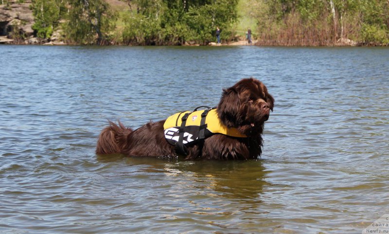 Фотография № 226173