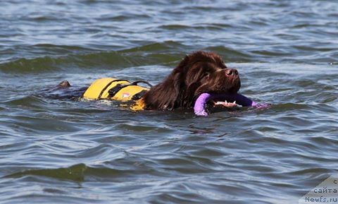 Фотография № 226174