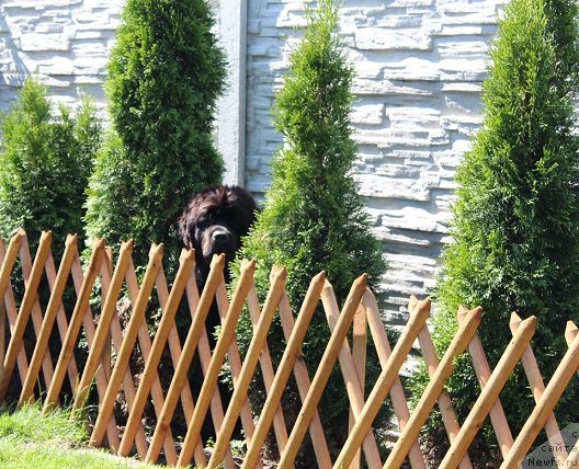 Фотография № 226177