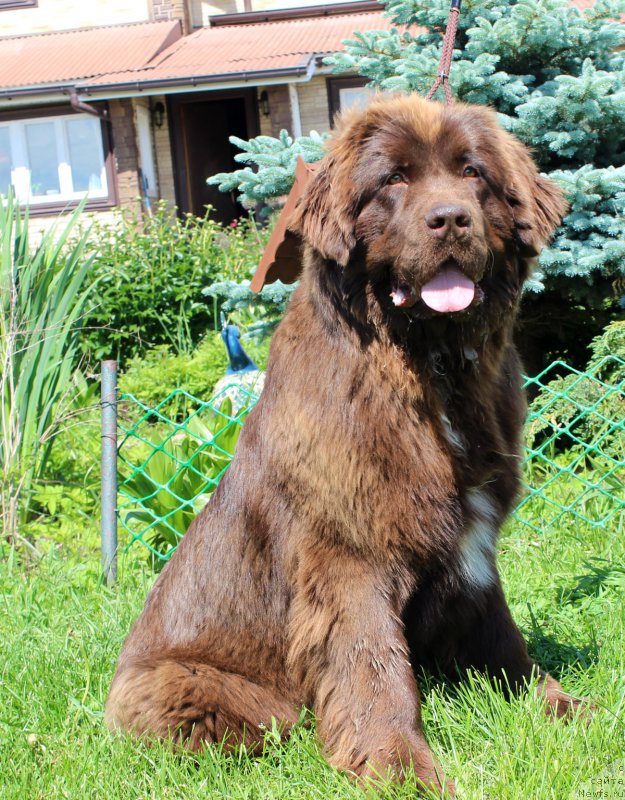 Фотография № 226193