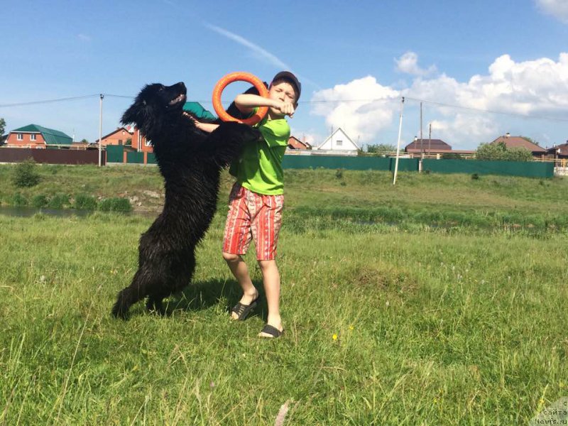 Фото: Аквиан Сонг