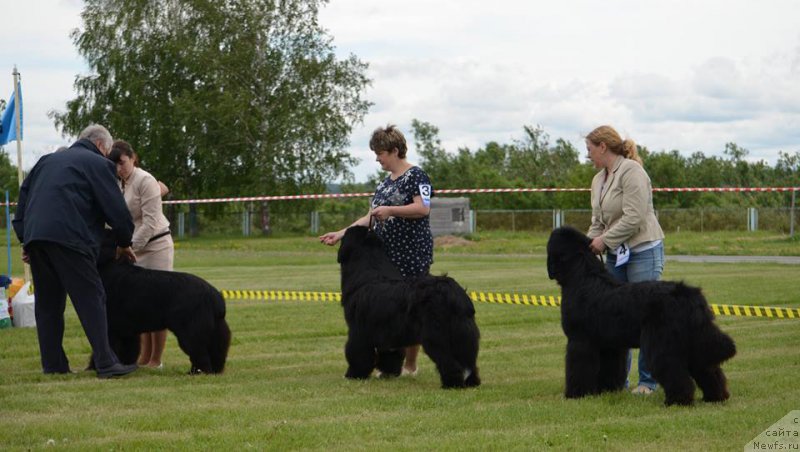 Фотография № 226214