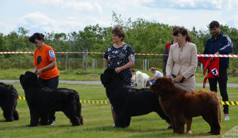 Фотография № 226218