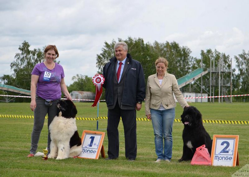 Фотография № 226222