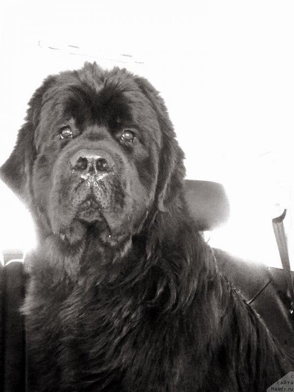 Фотография № 226251