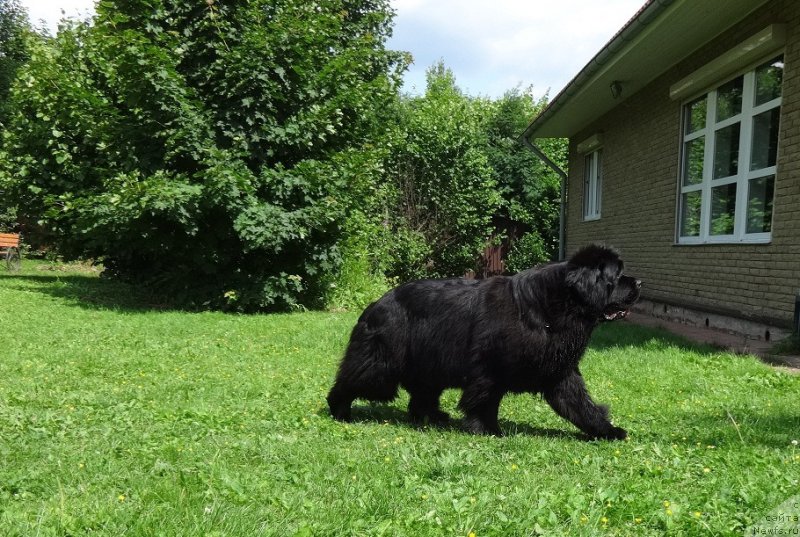 Фотография № 226253