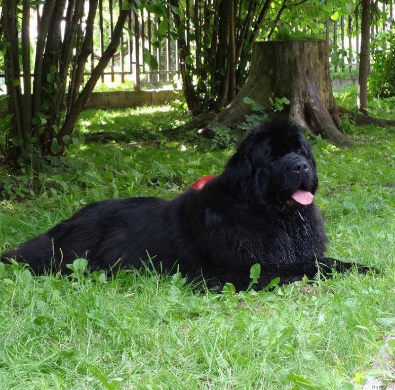 Фотография № 226254