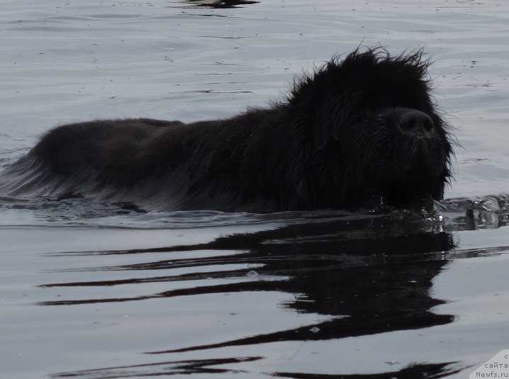 Фотография № 226255