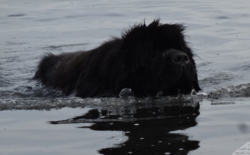 Фотография № 226256