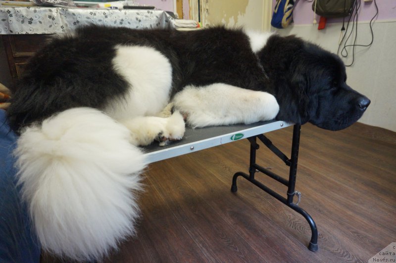 Фотография № 226271