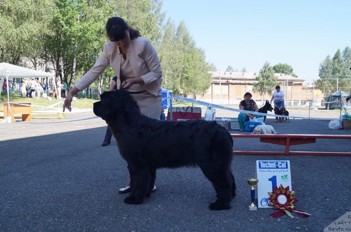 Фотография № 226299