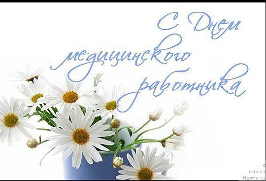 Фотография № 226304