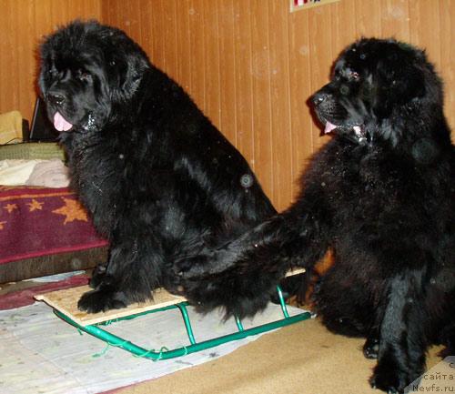 Фотография № 22631