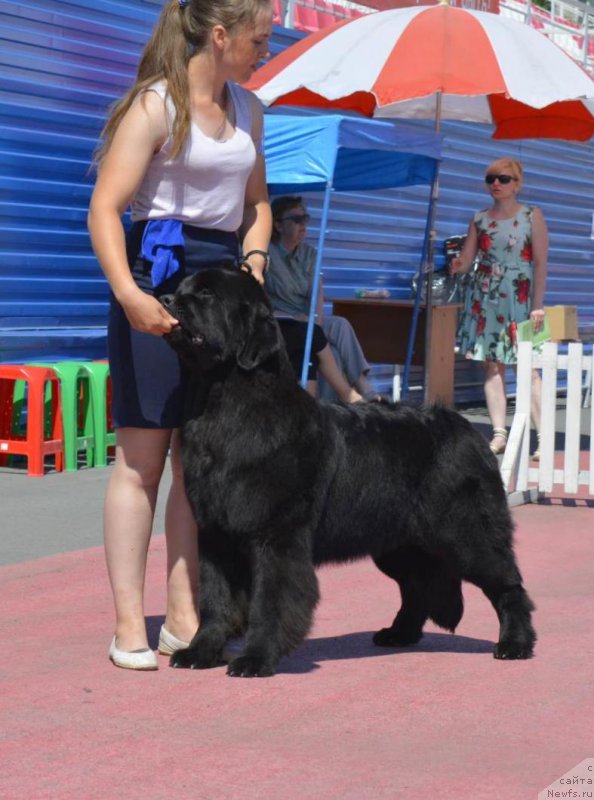 Фотография № 226320