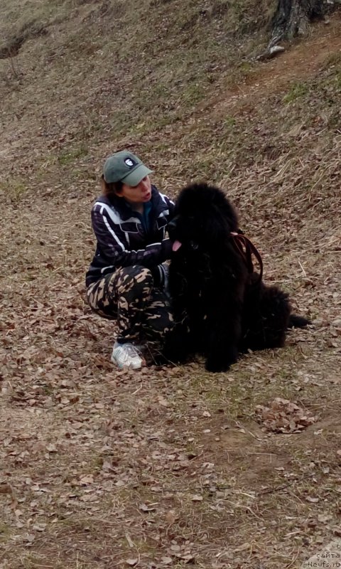 Фото: Людмила Морозова