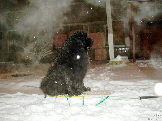 Фотография № 22633