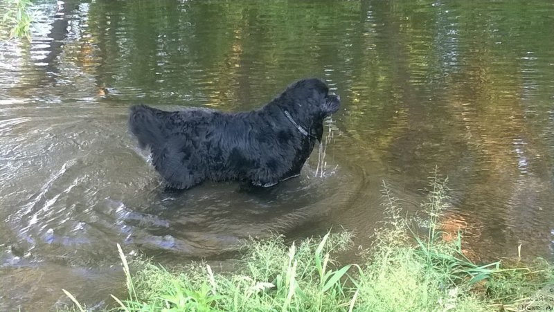 Фотография № 226360