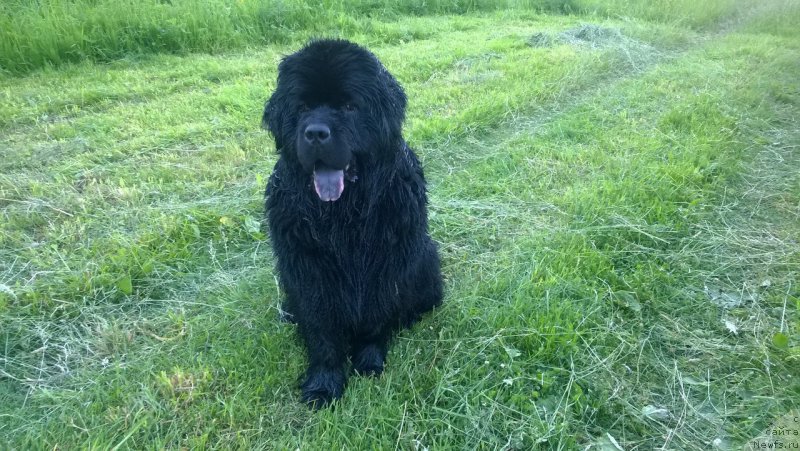 Фотография № 226362